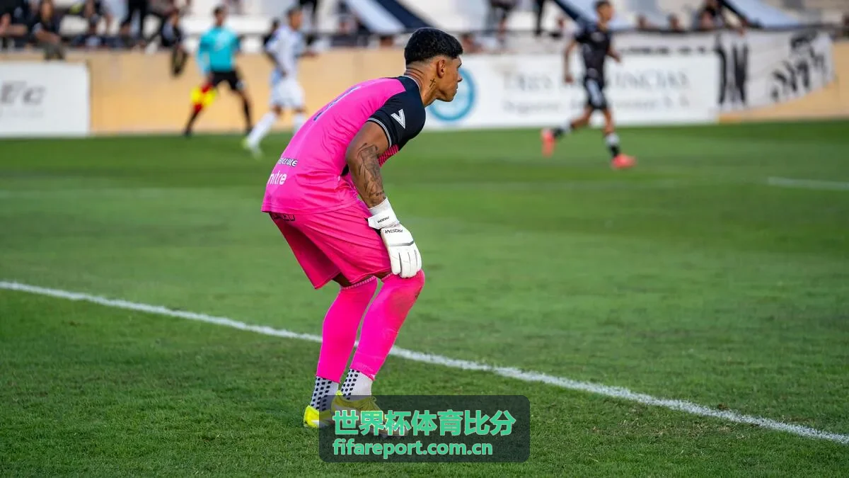 世界杯体育比分热门赛事-世界杯决赛重演